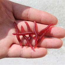 Load image into Gallery viewer, Artificial Earthworm Fishing Lure