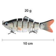 Load image into Gallery viewer, Segmented Lifelike Hard Lure