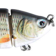 Load image into Gallery viewer, Segmented Lifelike Hard Lure
