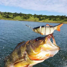 Load image into Gallery viewer, Segmented Lifelike Hard Lure